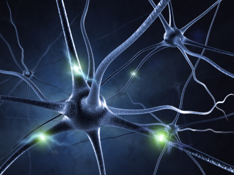 Illustration for article titled The 4 Biggest Myths About the Human Brain